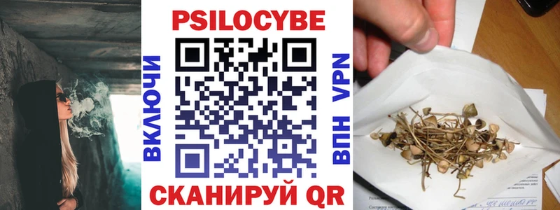 купить наркоту  Сураж  мега зеркало  Галлюциногенные грибы MAGIC MUSHROOMS 