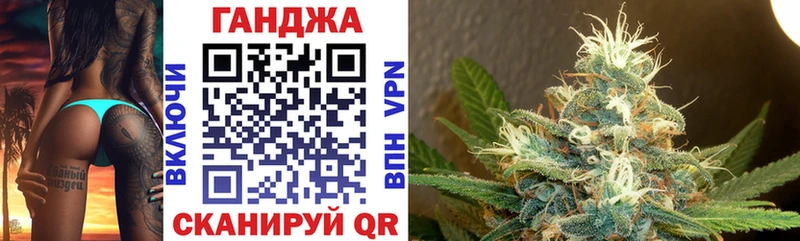 Каннабис OG Kush  Сураж 
